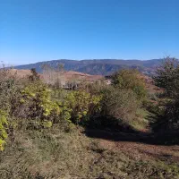 فروش باغ ۵۰۰۰ متری بهمراه زمین زعفران|فروش زمین و ملک کلنگی|دوزین, |دیوار