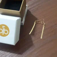 کیف زنانه و مقداری طلا