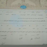 در-همه-اگهی-زمین