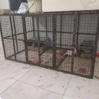 قفس پرنده سگ