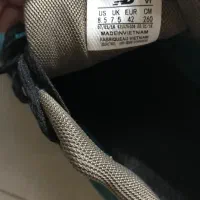 کتونی اسکیچرز|کیف، کفش، کمربند|ماسال, |دیوار