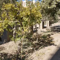 خانه باغ قدیمی برای عکاسی و فیلم برداری|خدمات پذیرایی، مراسم|سبزوار, کاشفی شمالی (دادگستری)|دیوار