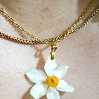 ساعت|گل و گیاه طبیعی|رشت, لاکان شهر|دیوار