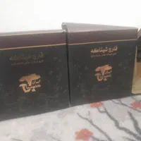 قارچ شیتاکه