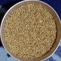 مقدار 700 کیلو عدس محلی،قیمت ۱۷۰۰۰۰ تومان