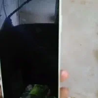 گوشیa16|موبایل|ماهان, |دیوار