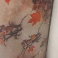 موکت متری ۷۰