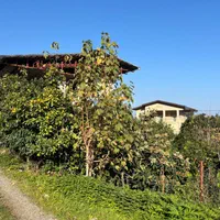 فروش زمین ۱۸۶ متری|فروش زمین و ملک کلنگی|خرم‌آباد (تنکابن), |دیوار