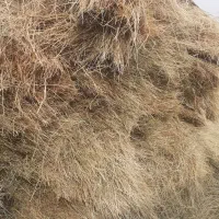 چند خروار کاه چین اول