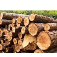خریدار چوب و تیر چوبی
