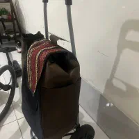چرخ خرید