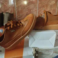 کار وپیاده روی|کیف، کفش، کمربند|دهدشت, |دیوار