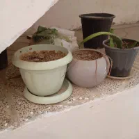 دوچرخه در حدنو|دوچرخه، اسکیت، اسکوتر|دورود, |دیوار