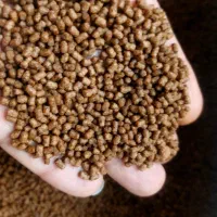 غذا ماهی گیاهخوار