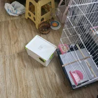 قفس یک متری و لانه و لوازم|لوازم جانبی حیوانات|چاف و چمخاله, |دیوار