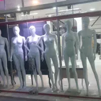 مانکن زنانه|فروشگاه و مغازه|قائن, |دیوار