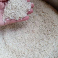 برنج هاشمی|خوردنی و آشامیدنی|رشت, توشیبا|دیوار