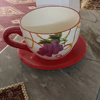 کاسه و دیس|ظروف سرو و پذیرایی|تربت‌حیدریه, قائم|دیوار