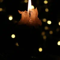 عکاسی فضای باز،تولد و...