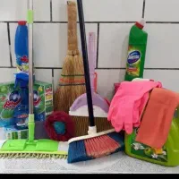 آقا هستم نظافت منزل انجام میدم