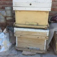 کندو زنبور عسل با قاب|حیوانات مزرعه|الوند, |دیوار