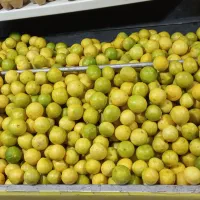ابگیری گوجه فرنگی امسالی|خوردنی و آشامیدنی|مشهد, حجت|دیوار