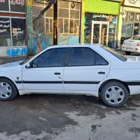 405 slx|خودرو سواری و وانت|تهران, آرژانتین|دیوار