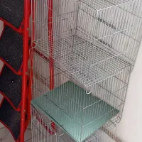 قفس