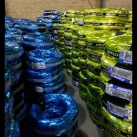 لاستیک دولتی