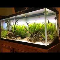 ساخت اکواریوم