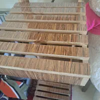 پایه گلدان|گل و گیاه طبیعی|کرمان, |دیوار