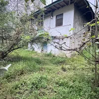 خونه سنتی تلاری/شفت