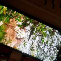 گوشی A 51|موبایل|دزفول, |دیوار