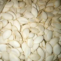 تخم کدو صدفی