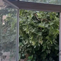اجاره-خانه-دربست-ویلایی-متراژ-بالا-با-لوکیشن-خوب