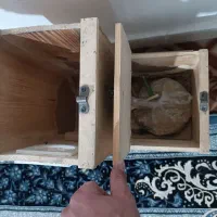 لانه ال شکل  طوطی ملنگو|لوازم جانبی حیوانات|بیرجند, |دیوار