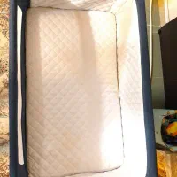 تخت نوزادی|تخت و صندلی بچه|ساری, |دیوار