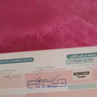 سگ شیتزو|سگ|مشهد, عامل|دیوار