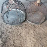 قفس پرنده|لوازم جانبی حیوانات|اصفهان, قهاب جنوبی|دیوار