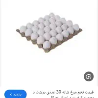 مشورت در پخش تخم مرغ