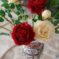 گل مصنوعی|گل مصنوعی|سبزوار, فرهنگیان|دیوار