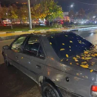 پژو روآ درجه یک تعمیر کل بی رنگ