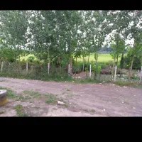 خونه ویلایی360مترج جیرده|فروش خانه و ویلا|رشت, لاکان|دیوار