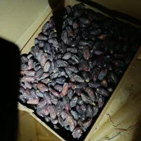 فروش