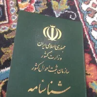 پیدا شده