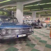 ساینا 1403