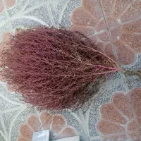 جارو بوته ای محکم و بادوام