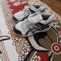 کفش|کیف، کفش، کمربند|سقز, |دیوار