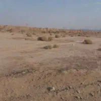 زمین زراعی در ورجان