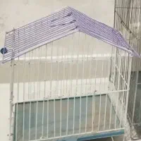 قفس رام سهره،فنچ